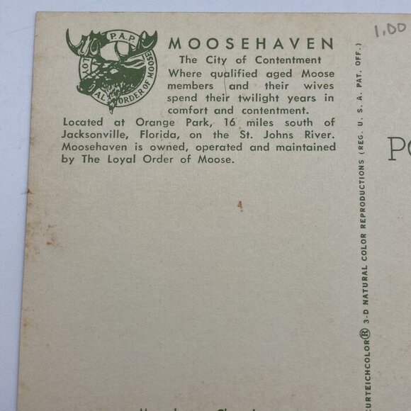 Vtg Postcard Moosehaven Lot Of 2 Orange Park Jacksonville FL Loyal Order Moose - Picture 14 of 14